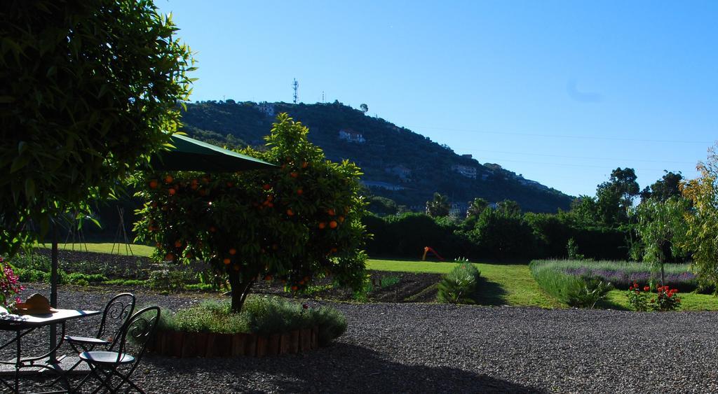 Villa Agriturismo Coppi Rossi à Torrazza  Extérieur photo